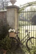 gate and bike