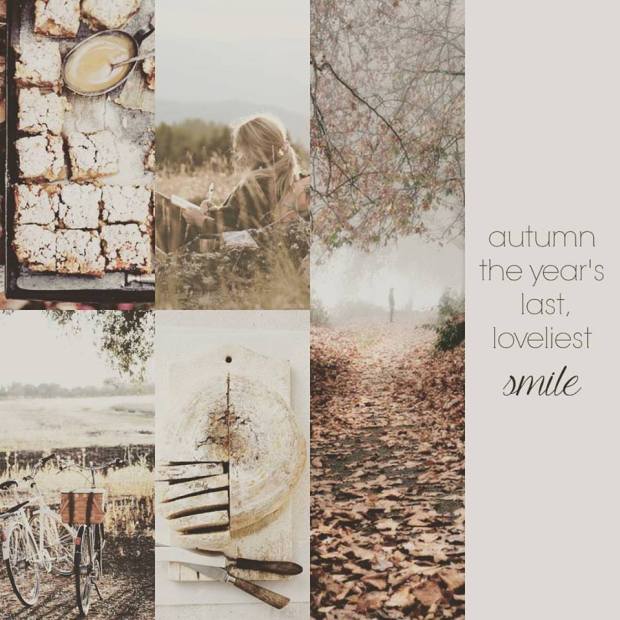 autumn-scene